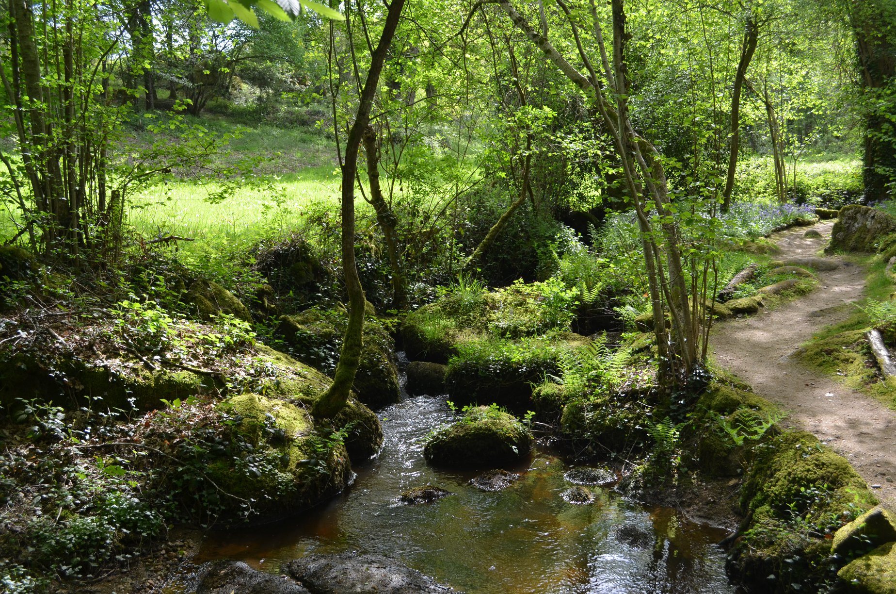 Le parc des parelles