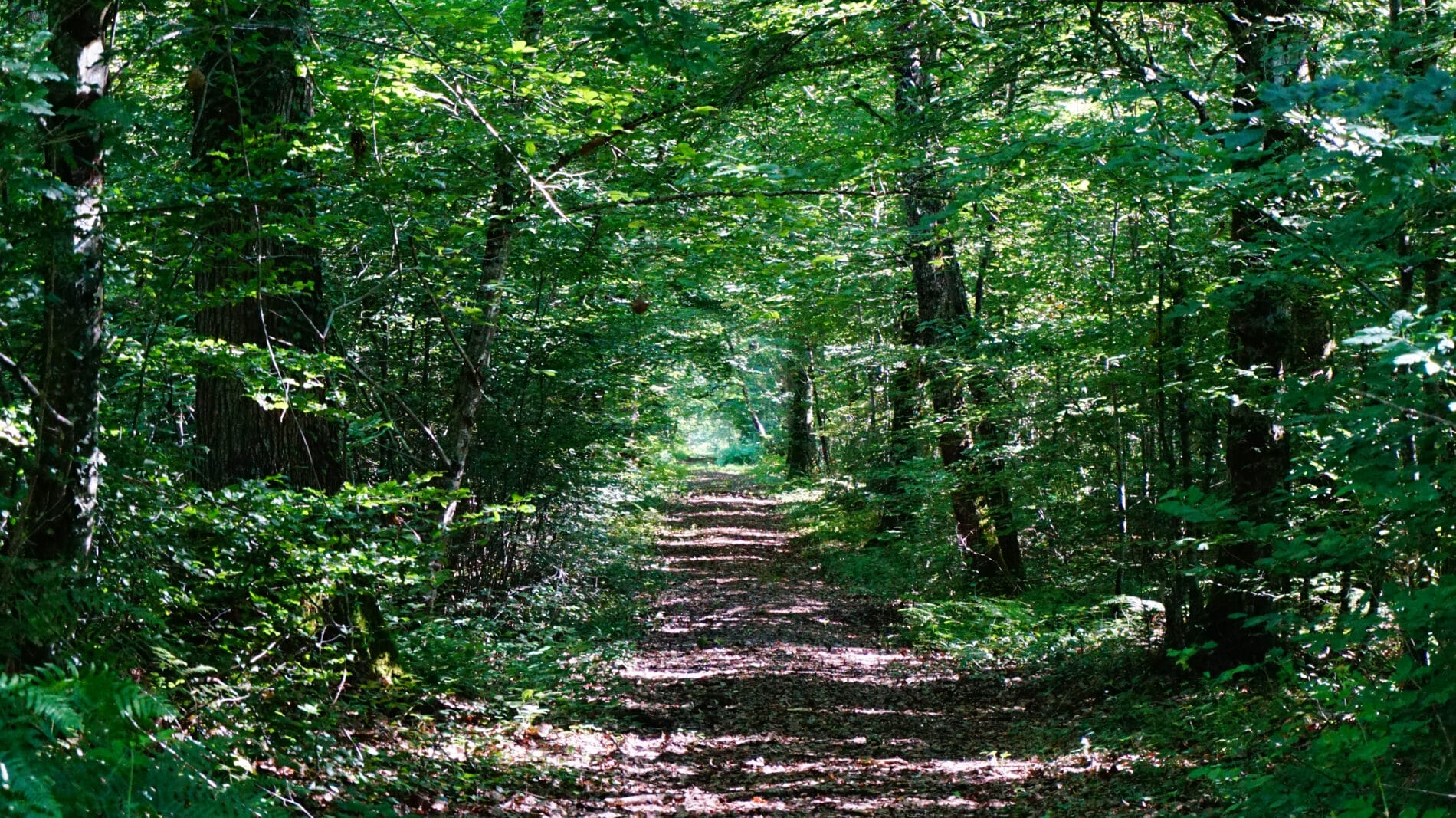 Mare au Diable La Mare au diable