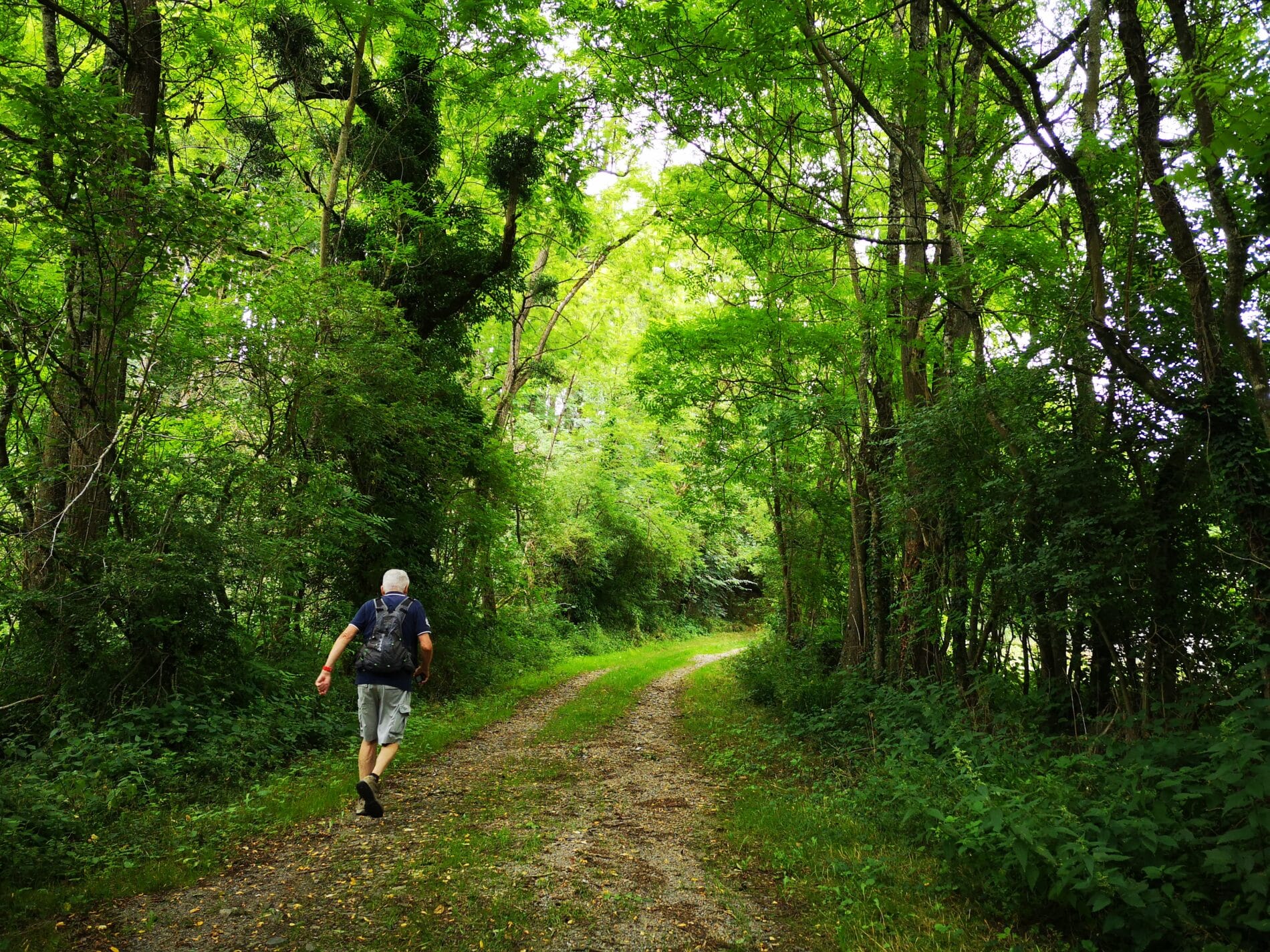 Sentier des Maîtres Sonneurs
