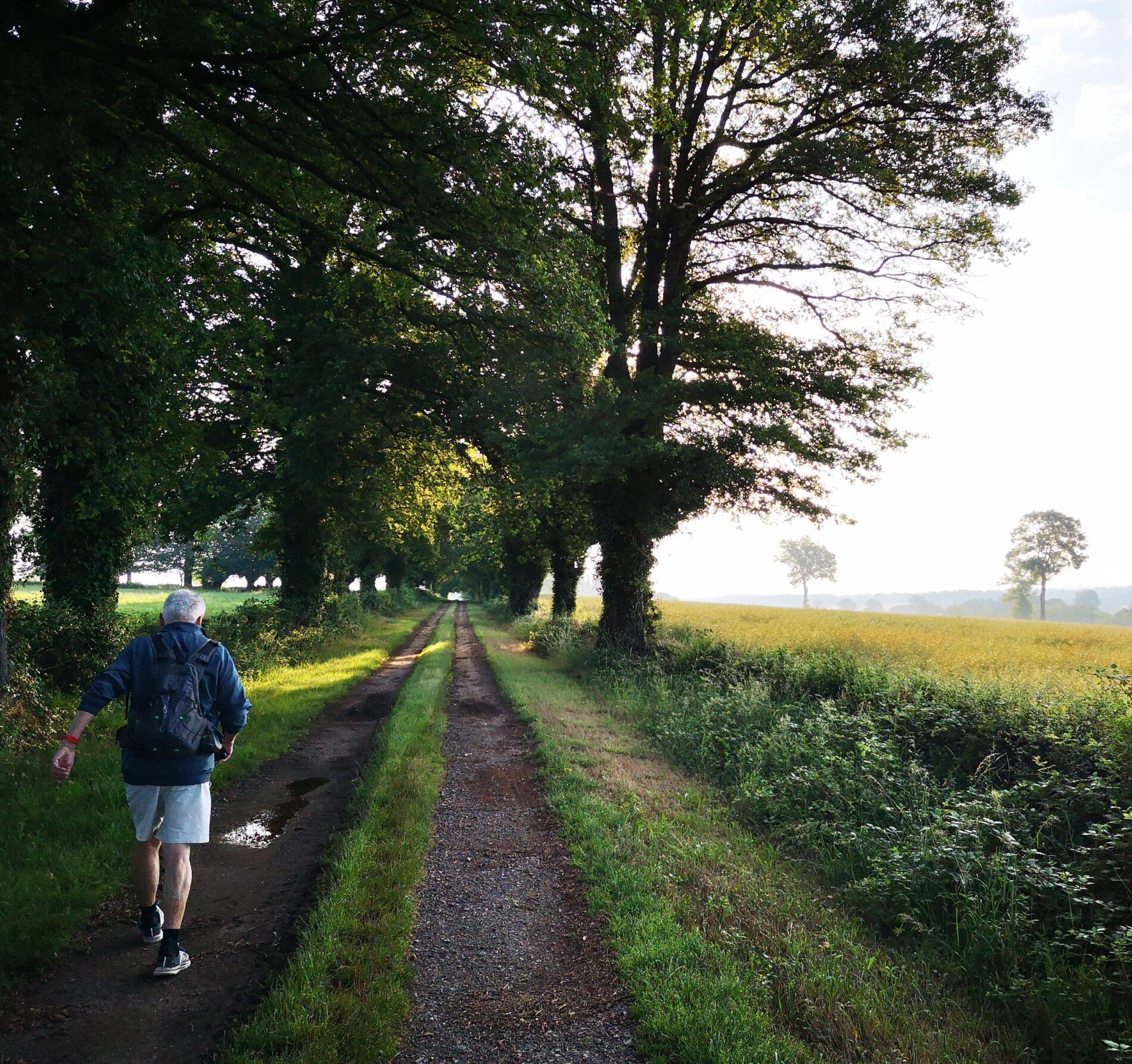 Sentier de grande randonnée de pays “sur les pas des Maîtres Sonneurs”