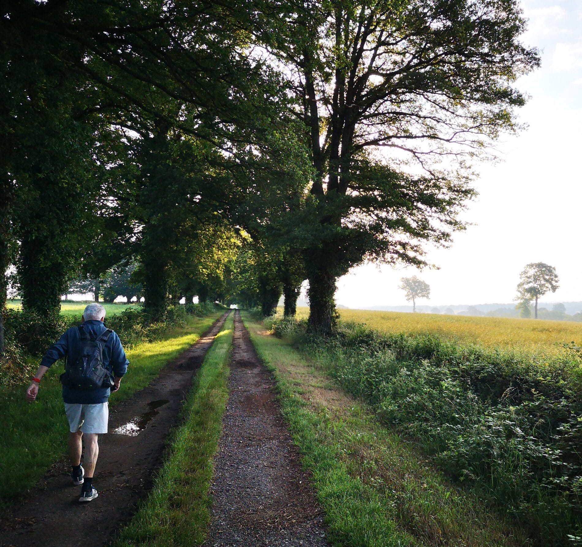 GR de pays “sur les pas des Maîtres Sonneurs”