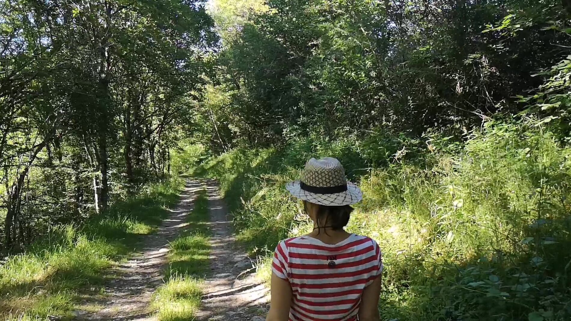 GR 46 du Val de Loire aux Bastides