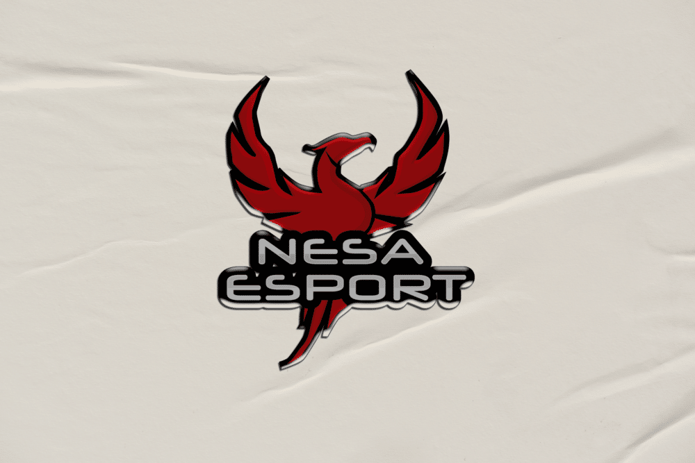 logo dune equipe de esport de chateauroux nesa esport - Pays de George Sand