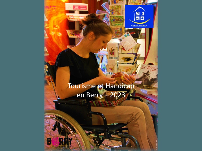 Handi berry bleu - Pays de George Sand