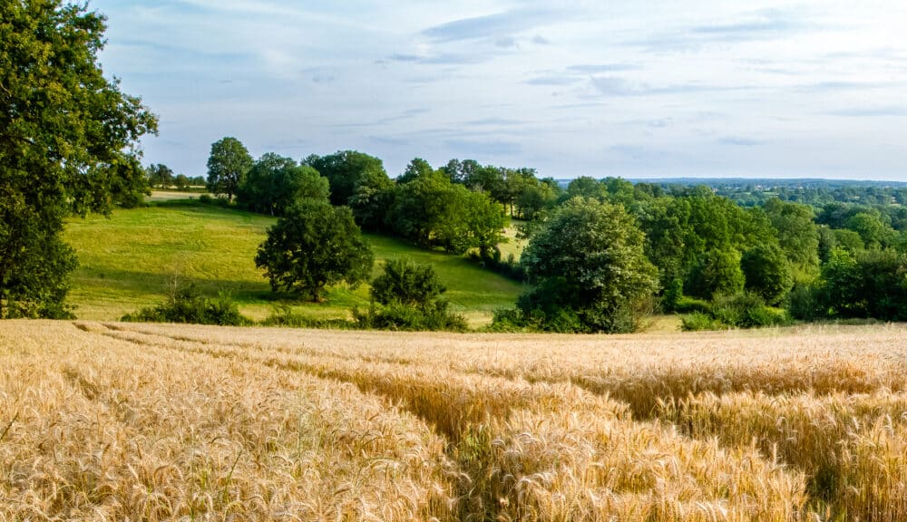 Sur les traces de George Sand : plongez dans le Berry ! 03072012 MG 0642 Modifier - Pays de George Sand
