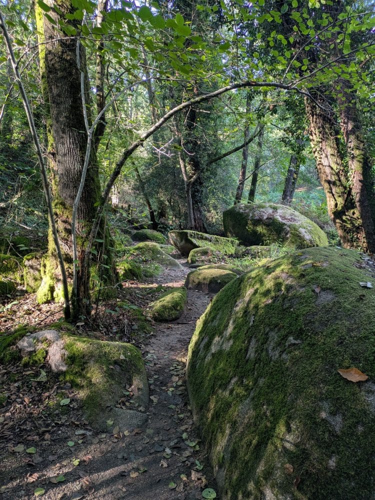 Sur les traces de George Sand : plongez dans le Berry ! 2025 Parc des parelles8 - Pays de George Sand
