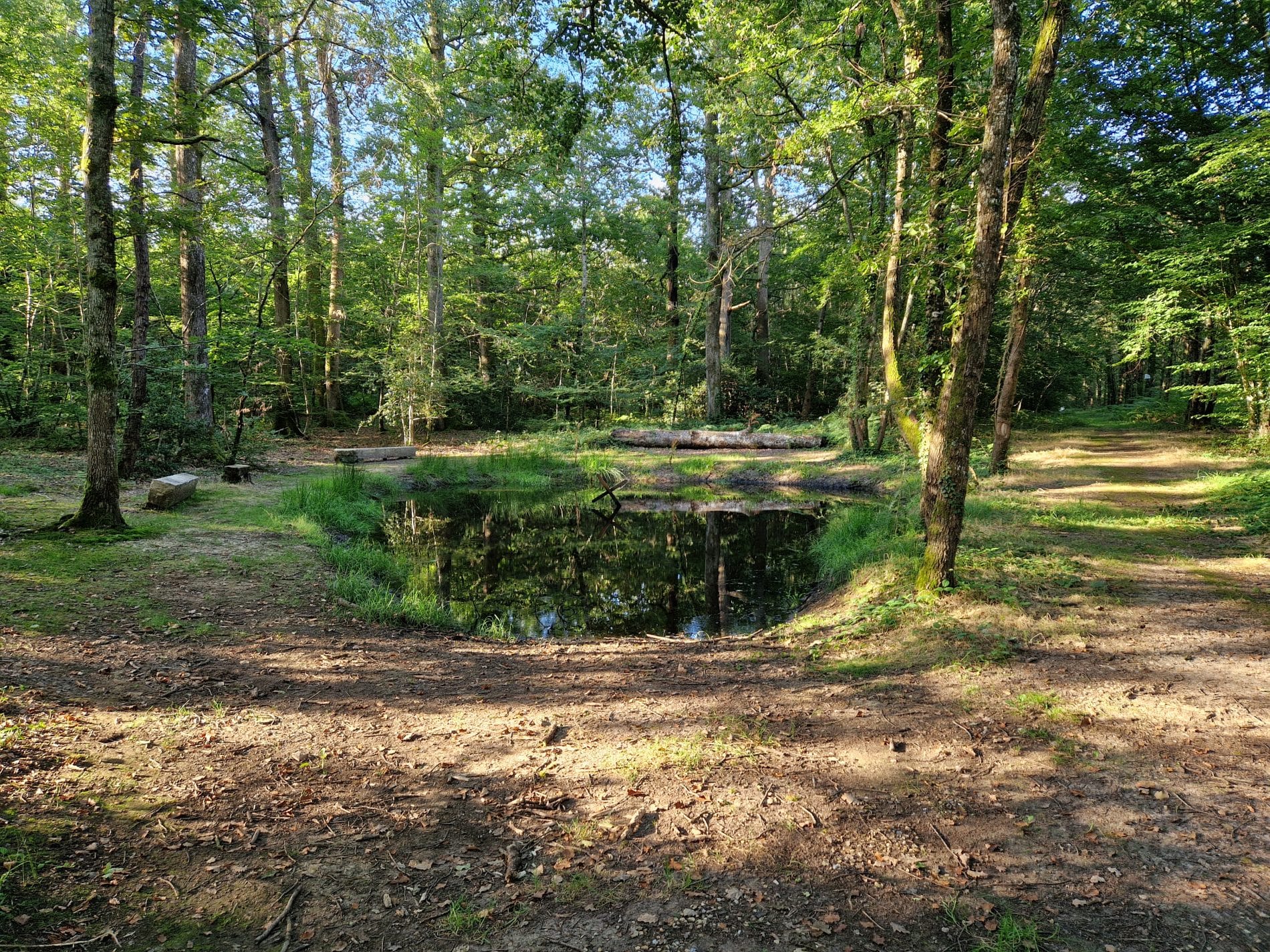 La mare au diable Mare au diable ete 2024 V Dromer 3 - Pays de George Sand