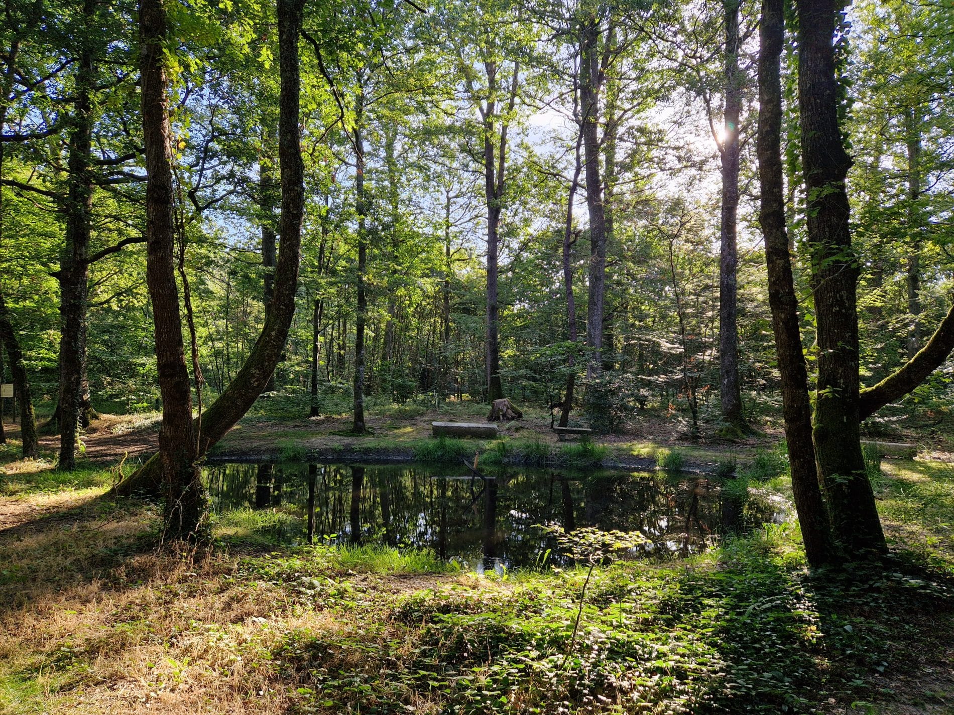 La mare au diable Mare au diable ete 2024 V Dromer 34 - Pays de George Sand