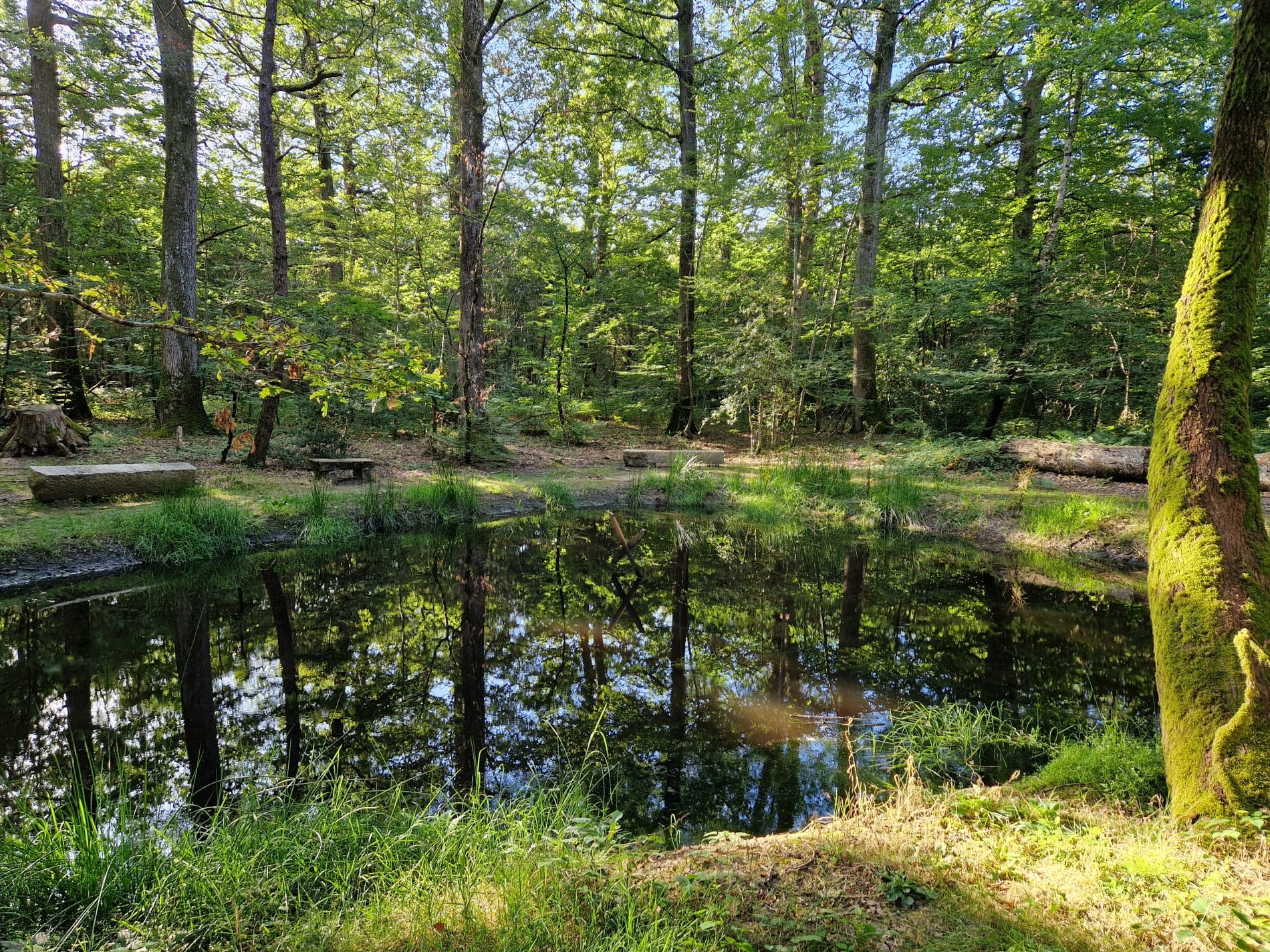 La mare au diable Mare au diable ete 2024 V Dromer 42 - Pays de George Sand