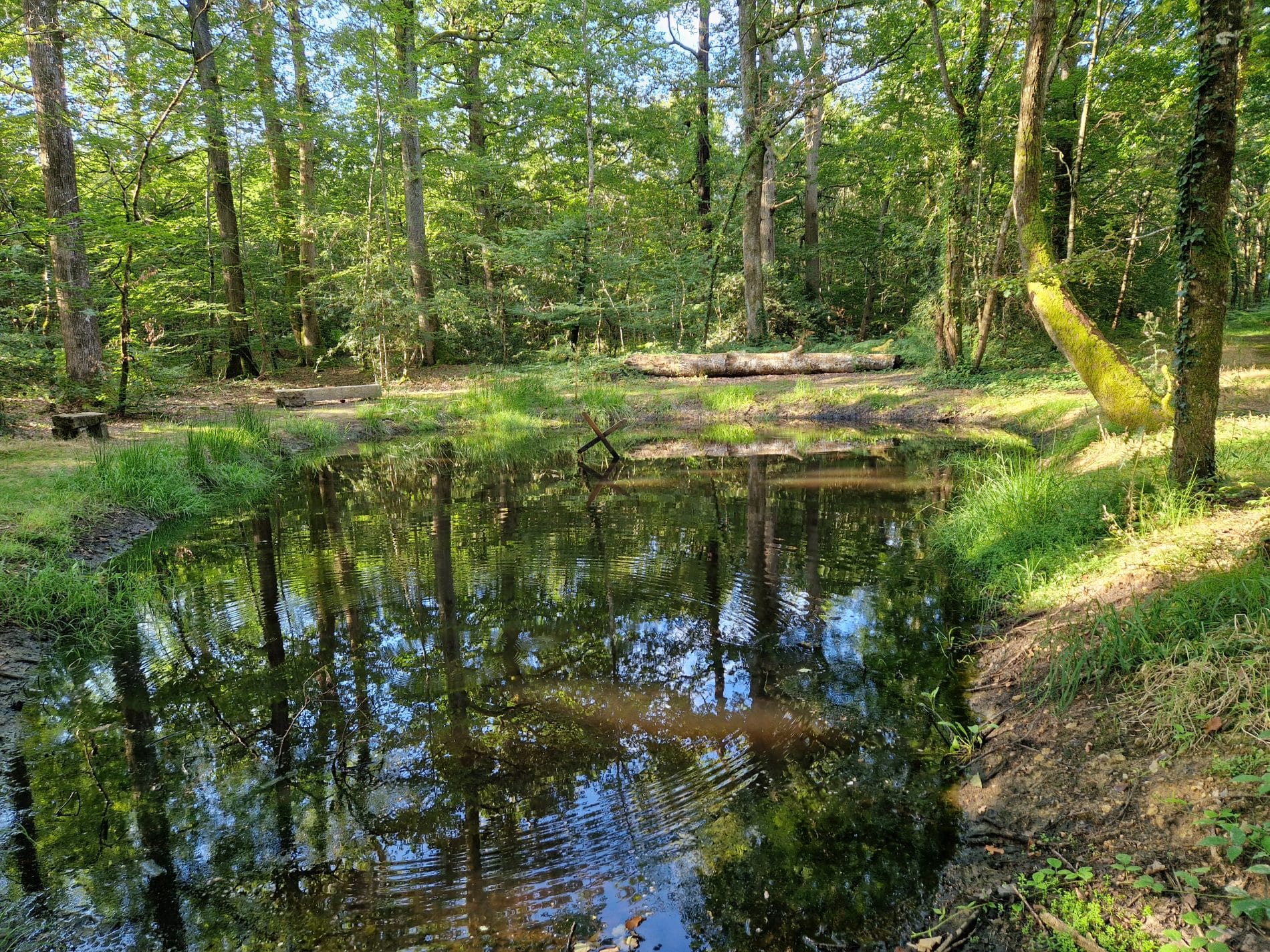 La mare au diable Mare au diable ete 2024 V Dromer 64 - Pays de George Sand