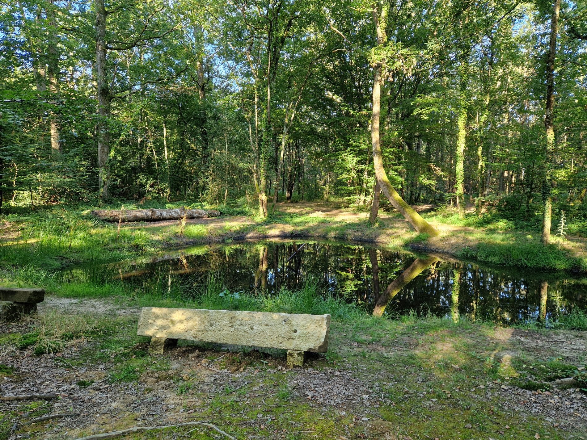 La mare au diable Mare au diable ete 2024 V Dromer 8 - Pays de George Sand