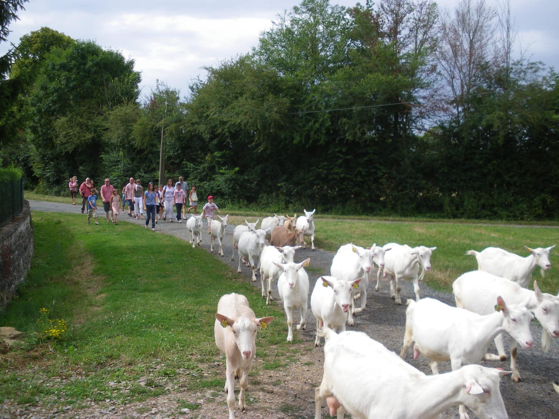 Parcours vélos – Les mercredis à la ferme – Eté 2026