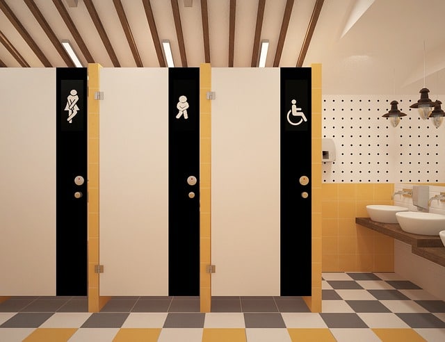 Accessibilité et Tourisme et Handicap WC handicaps credit pixabay sunrise - Pays de George Sand